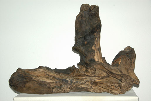 Fels in der Brandung