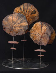 La Forza del Destino